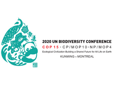 CBD COP15 side event: Celebrating International Year of Mountains - ensuring mountain biodiversity protection within the post-2020 GBF implementation